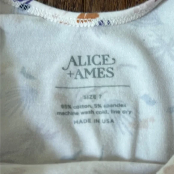 Alice + Ames Ballet Dress - Picture 3 of 4